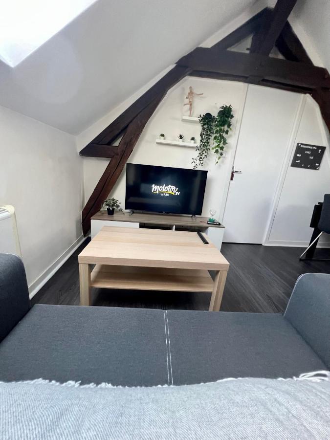 Bel Appartement Lumineux 35M2, Bord De Loire Saint-Jean-le-Blanc 외부 사진