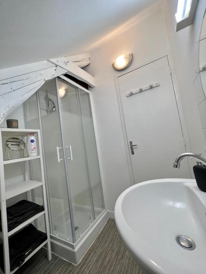 Bel Appartement Lumineux 35M2, Bord De Loire Saint-Jean-le-Blanc 외부 사진