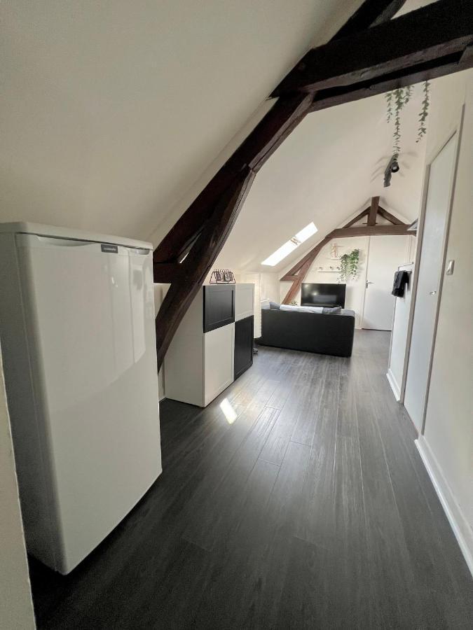 Bel Appartement Lumineux 35M2, Bord De Loire Saint-Jean-le-Blanc 외부 사진