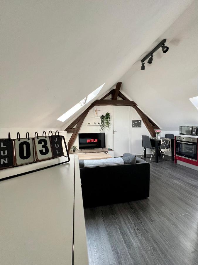 Bel Appartement Lumineux 35M2, Bord De Loire Saint-Jean-le-Blanc 외부 사진